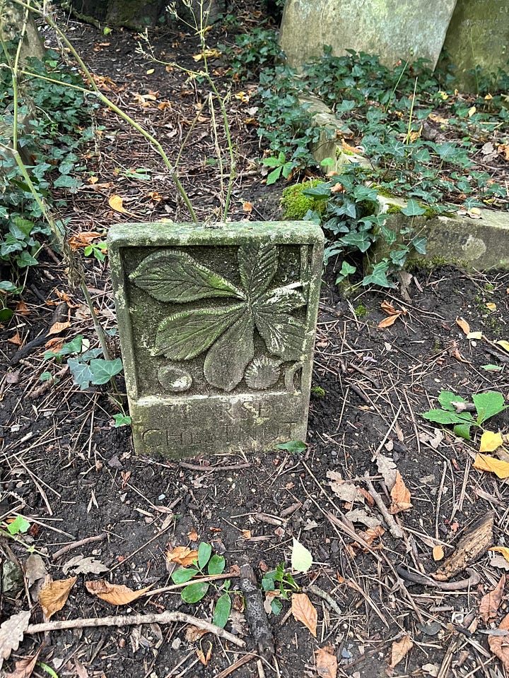 Four stone markers with inscribed illustrations and names of plants in the cemetery
