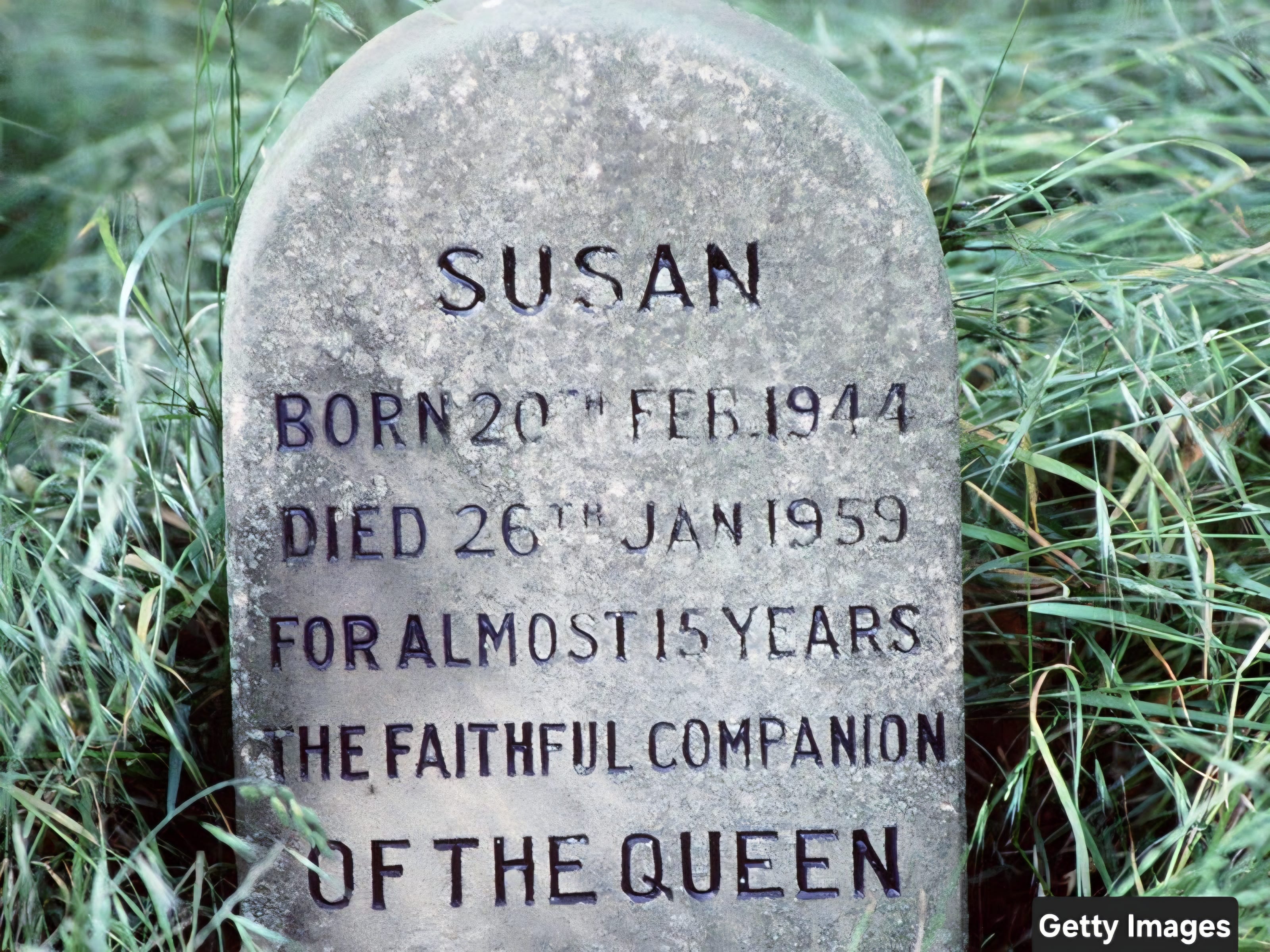 Susan Dog All the Royal Doggos: Queen Elizabeth II’s Susan