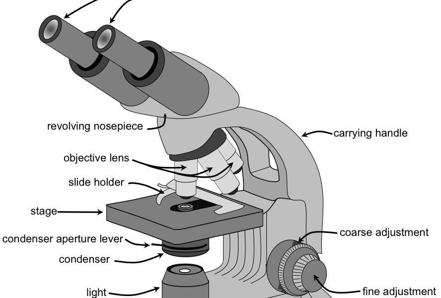 Introduction To the Compound Microscope
