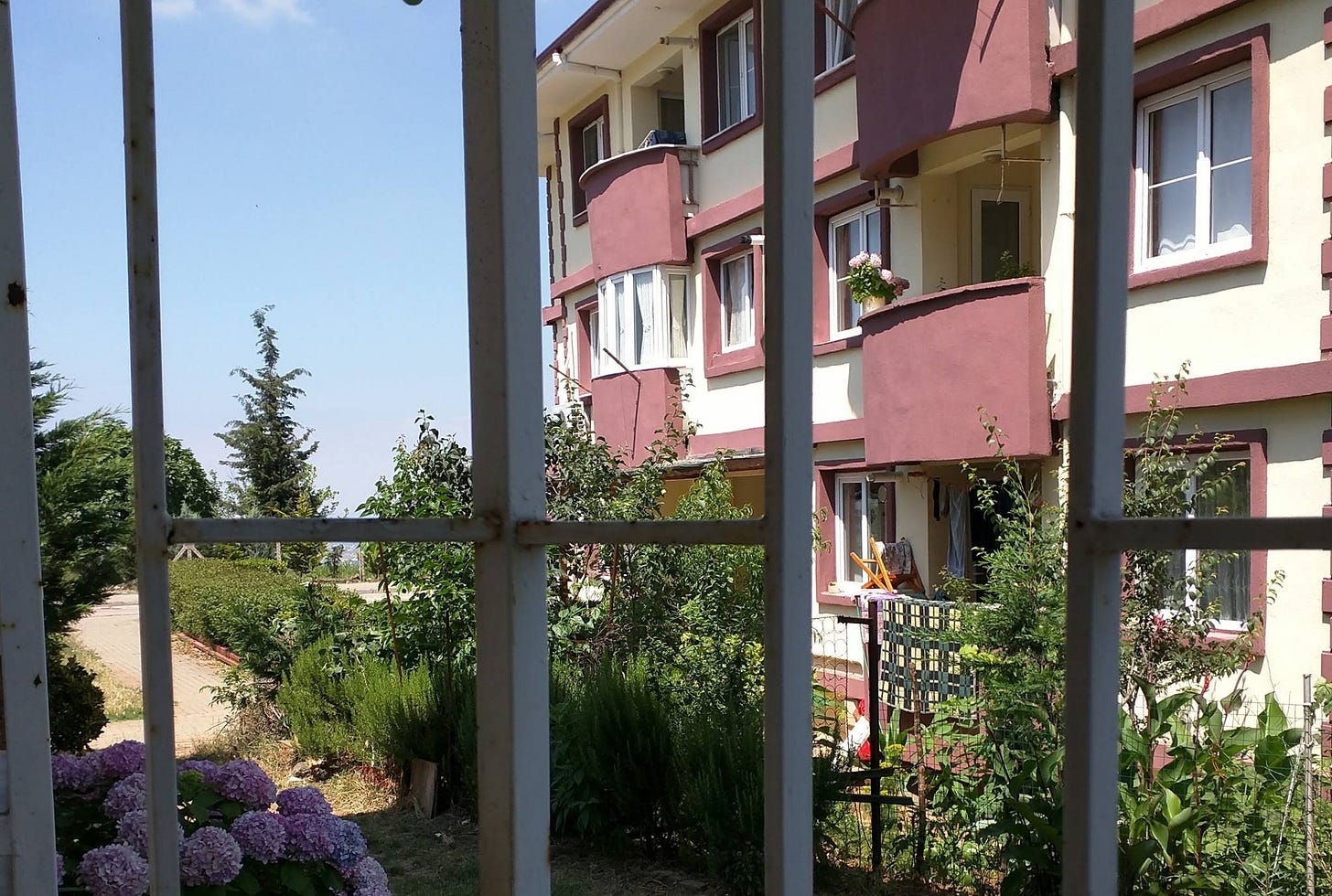 Bir balkonun parmaklıkları arasından çekilmiş bir fotoğraf. Karşıda bir başka bina, üç katlı. Birinci katta bir balkonda saksıda bir ortanca çiçeği.