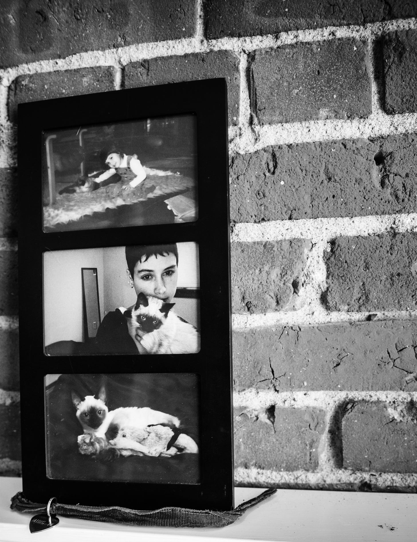 Vertical photo frame with three images of Siamese cats: the author as a toddler with a large Siamese cat at the top, the author with her cat MingYi in the center, and another Siamese cat at the bottom. A small cloth at the base of the frame holds MingYi’s name tag. Vertical photo frame with three images of Siamese cats: the author as a toddler with a large Siamese cat at the top, the author with her cat MingYi in the center, and another Siamese cat at the bottom. A small cloth at the base of the frame holds MingYi’s name tag.