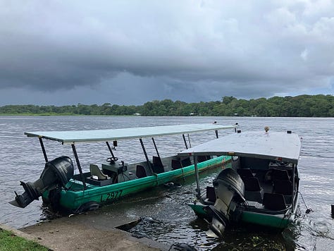 Top left. 2 small narrow boats moored stern to the lagoon side with jungle across the wide lagoon in the distance and storm clouds overhead. Top middle - a Great Green Macaw in flight above beach almond leaves. Top right - From a low angle looking across a brown lagoon with jungle down to the water's edge on the right and a red kayak with a kayaker paddling on the left. Bottom left - large lagoon narrows to a jungle with jungle on either side. Bottom right a large bird with neck extended and wings held out either side sitting in a small patch of jungle with thick jungle vegetation behind it