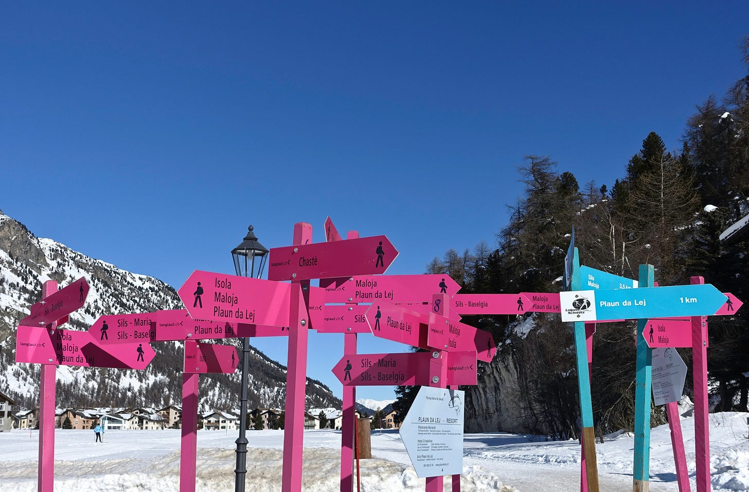 Color photo of a snowy hilltop against a blue sky, a confusing array of wooden signposts in pink and blue pointing in lots of directions for hiking trails
