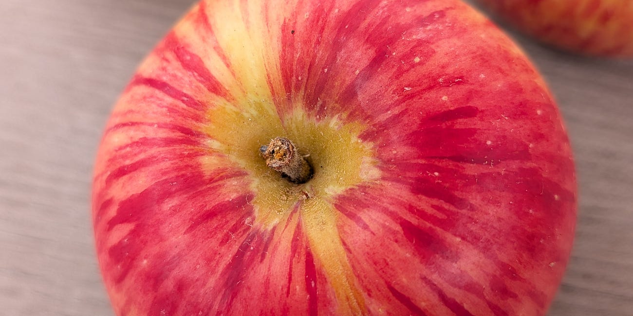 Episode 84 - What’s a Duchess of Oldenburg Apple?