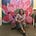 Kimberly MacEachern's avatar
