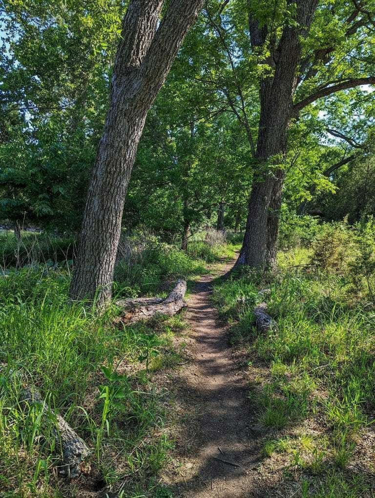Shady trail