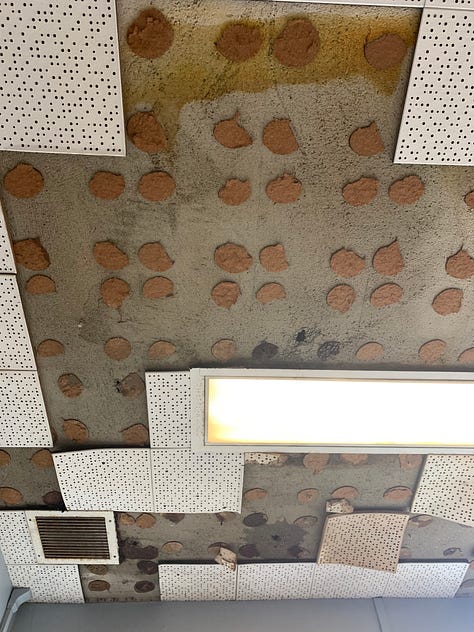 images depict ceilings with fallen tiles exposing brown glue, flooded desks and classrooms, buckets to carry water for leaks, furniture cover with plastic bags