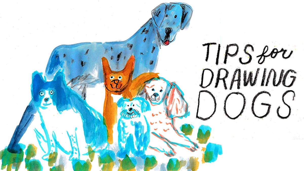tips for drawing dogs by Beth Spencer