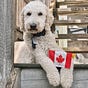 Canada Resists's avatar