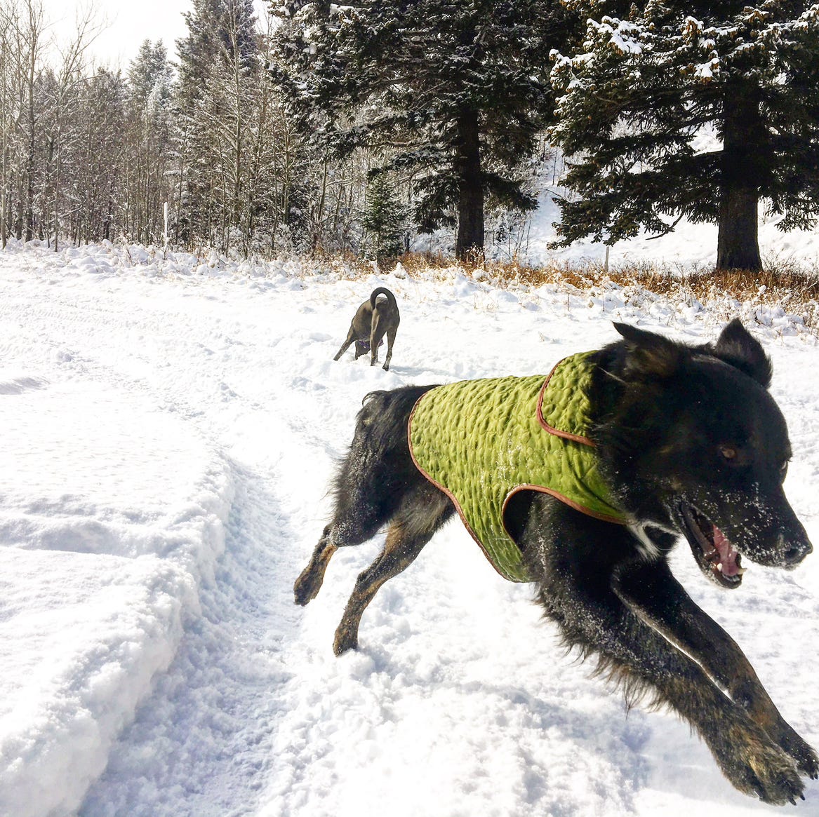 Mid-life Confessions of Hope 