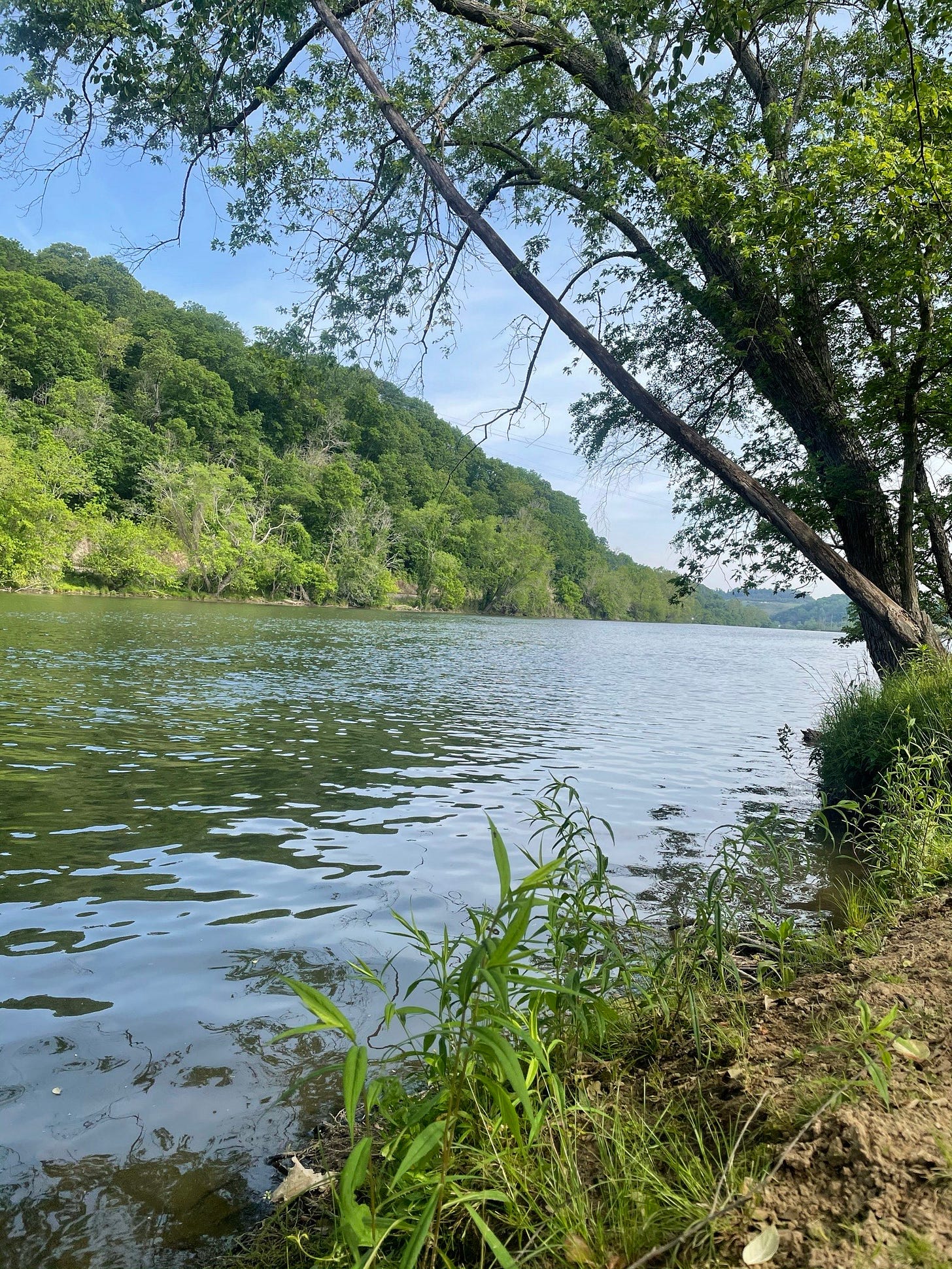 View from the edge of the French Broad River in summer, before Helene