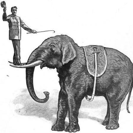 The Austerity Kitchen