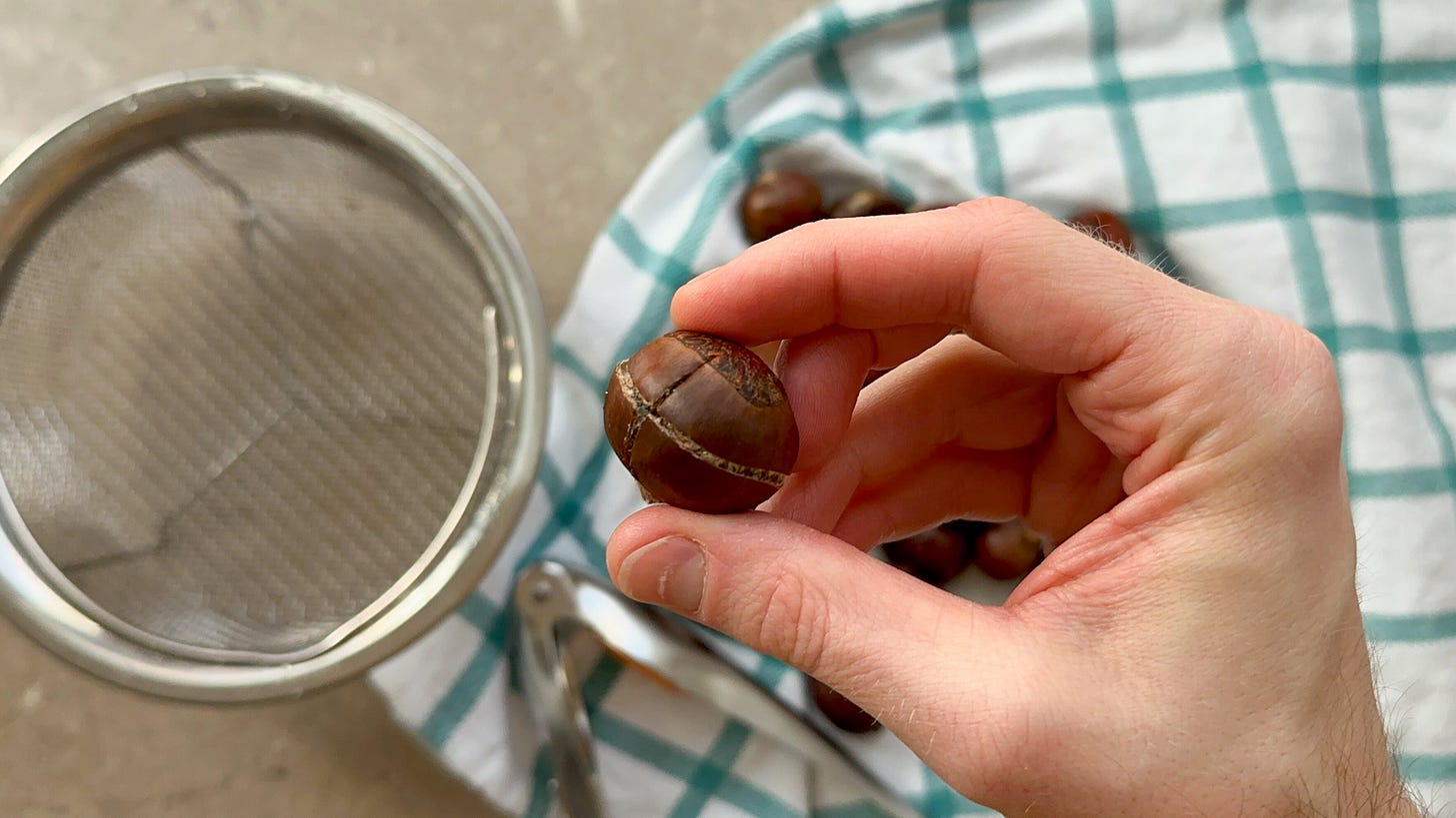 Martin holding a chestnut, scored with an X.