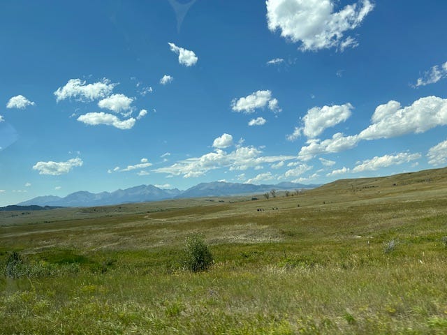 Photo of the distant Crazy Mountain range, and a rectangular grave marker that says only "pioneer."