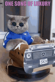 Onesongofluxury Cool Cat GIF - ONESONGOFLUXURY Cool Cat - Discover & Share  GIFs
