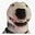Wolter's avatar