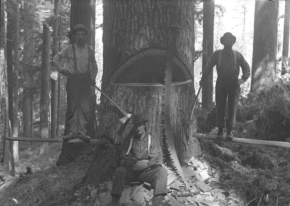 A group of men in the woods

AI-generated content may be incorrect.