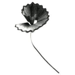 Court Street Journal