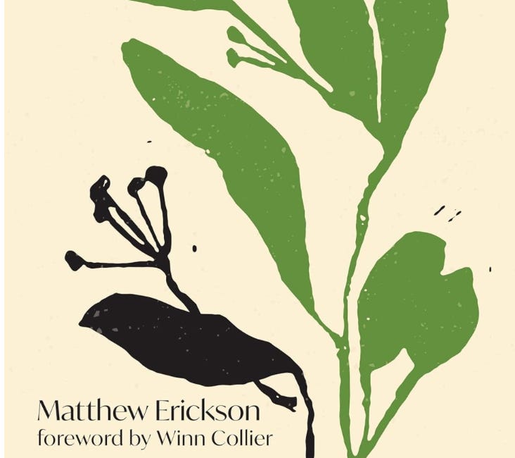 Pastor as Gardener by Matthew Erickson: A Review and Endorsement