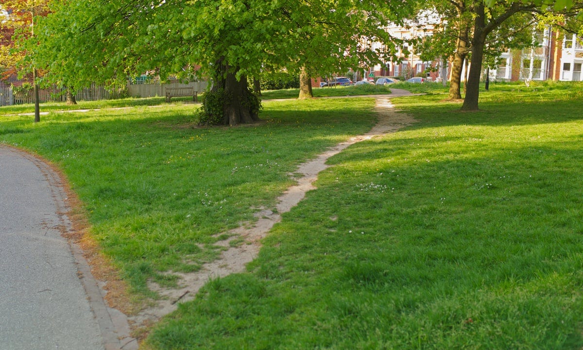Desire paths: the illicit trails that defy the urban planners | Cities |  The Guardian