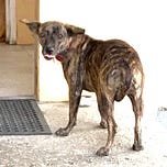 Surviving Healthcare