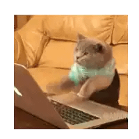 Cat typing furiously, in the revision groove (may the power of Laptop Cat be upon you)