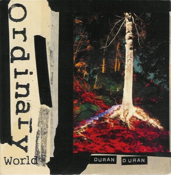 Come Undone In An Ordinary World