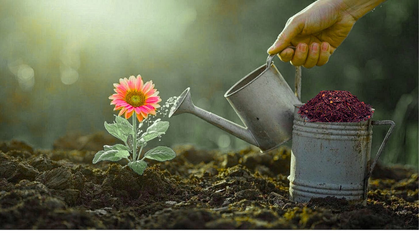 Flower in soil with a watering can and compost pail demonstrating the WellSelf 360 Framework garden/ecosystem layers.