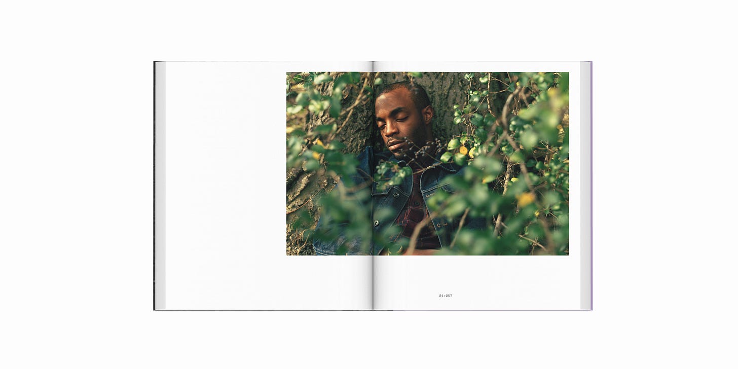 True Colors Zora J Murff - delpire & co