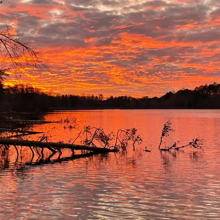 Autism: Pathologically Genuine