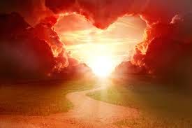 8,431,400+ Love Stock Photos, Pictures ...