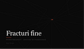 Fracturi fine - Ana Dragu, PhD