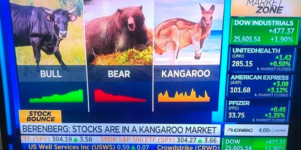 No bull: Bitcoin has been in a kangaroo market for nearly a whole year -  Blockworks