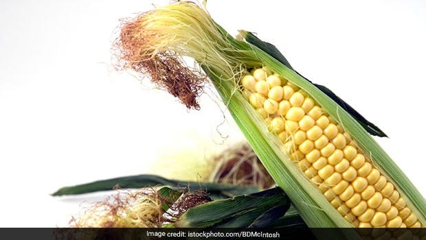 Corn Silk Diet Benefits - For Diabetes, Hypertension And ...