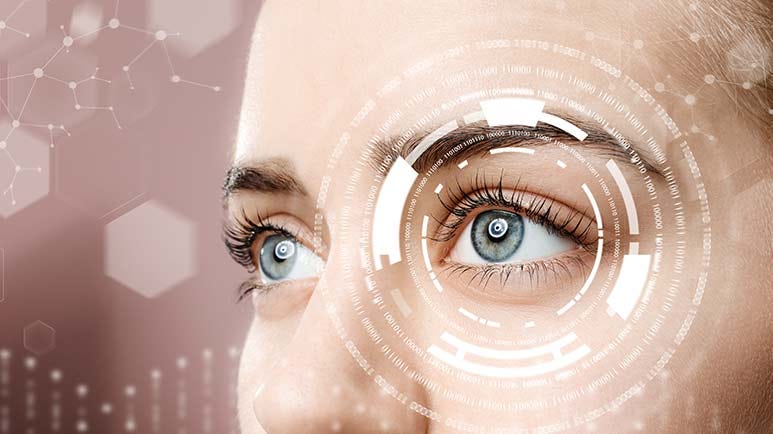 top foods to improve vision
