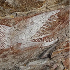 Anthropology.net