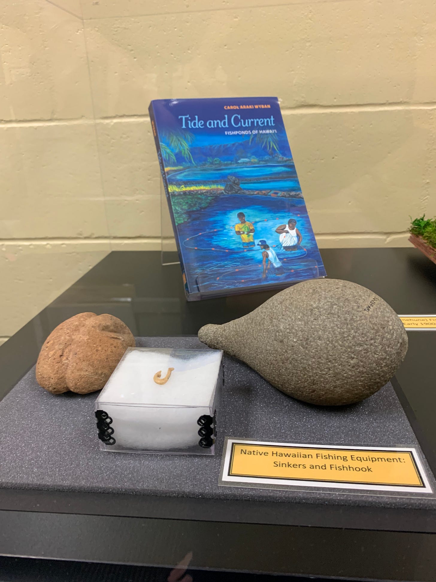 View of a book with artifacts