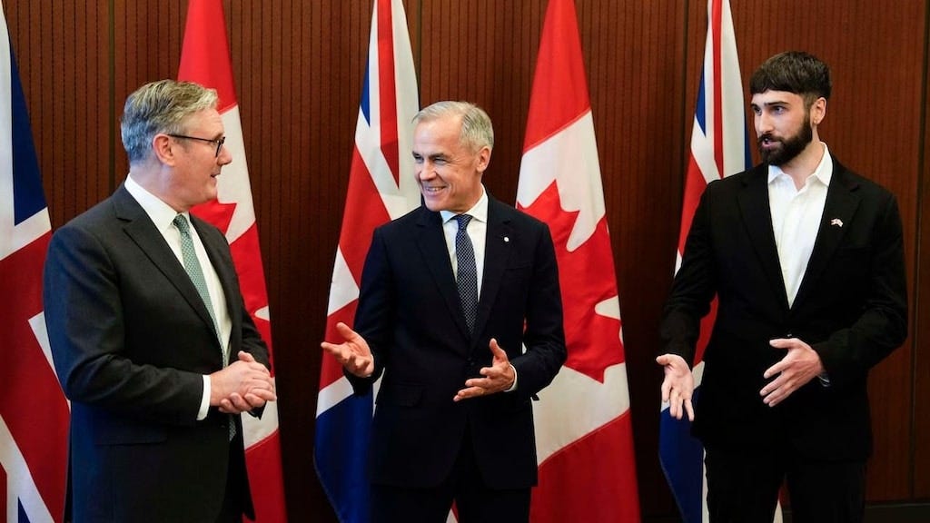 Federal government taps Cohere to work on use of AI in public service |  Radio-Canada.ca