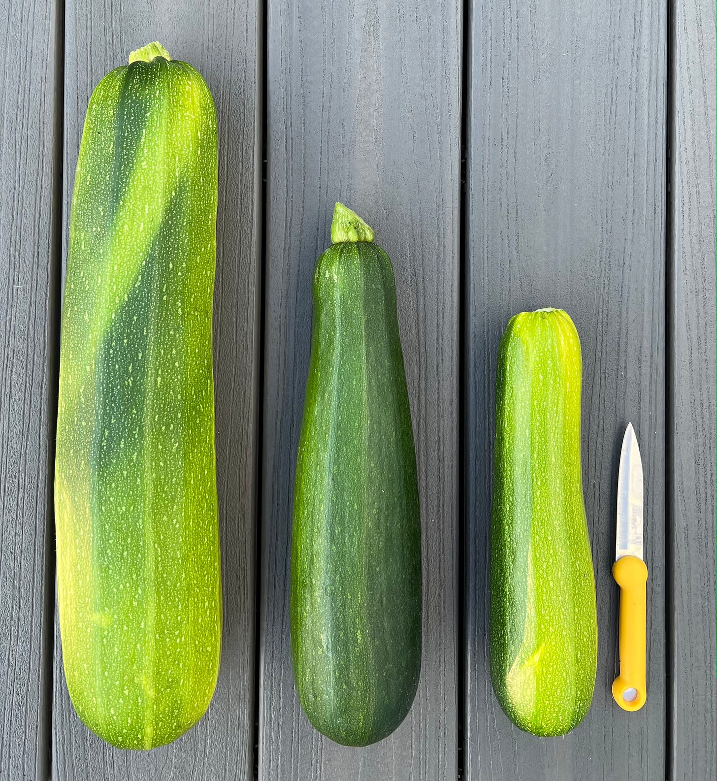 Photo of 3 zucchini on a grey deck with yellow knife next to them for scale.