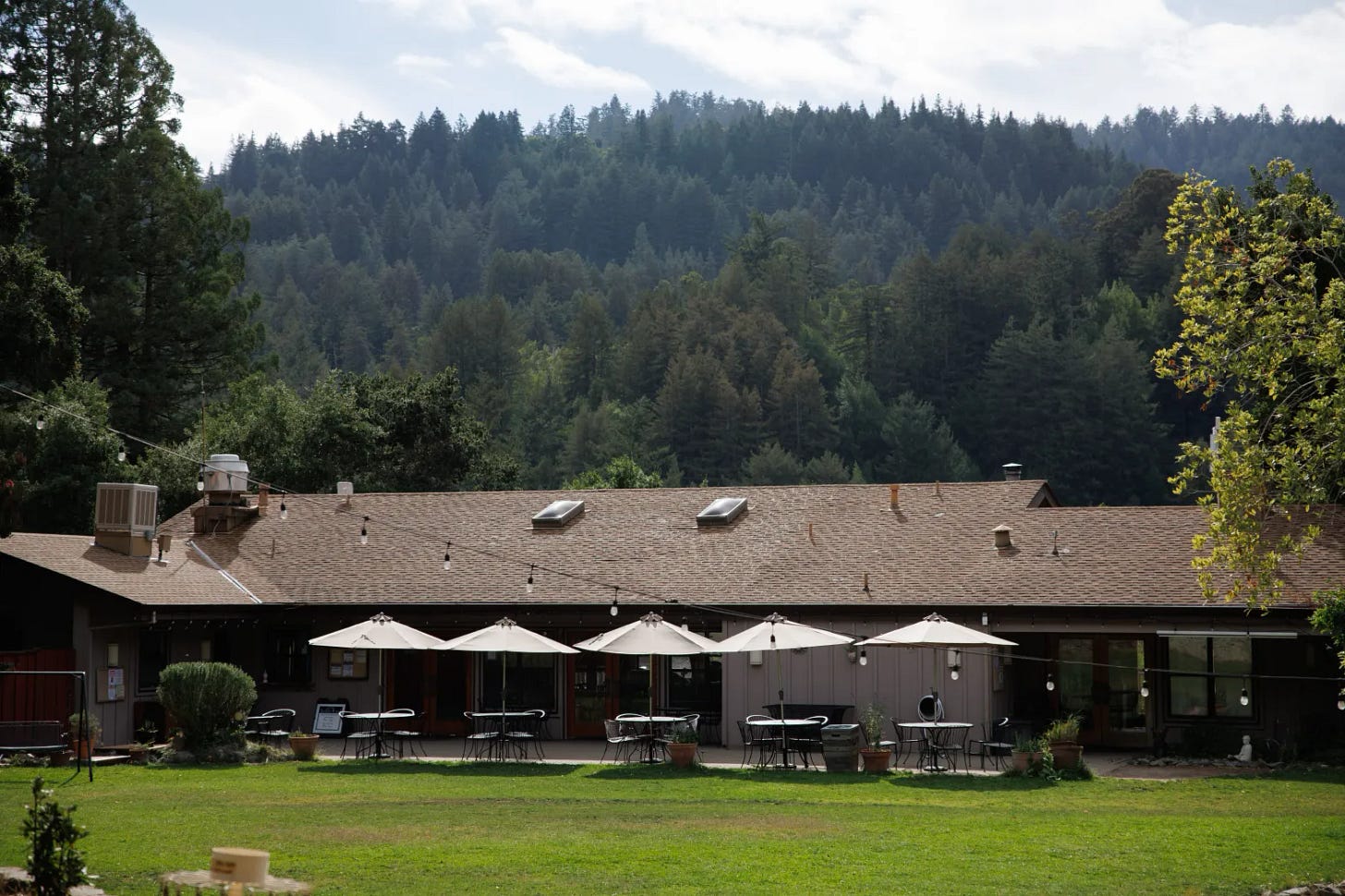 Alt text: The restaurant and lounge building at Lupin Lodge, with outdoor patio tables and umbrellas on a green lawn, surrounded by dense redwood-covered hills in Los Gatos.