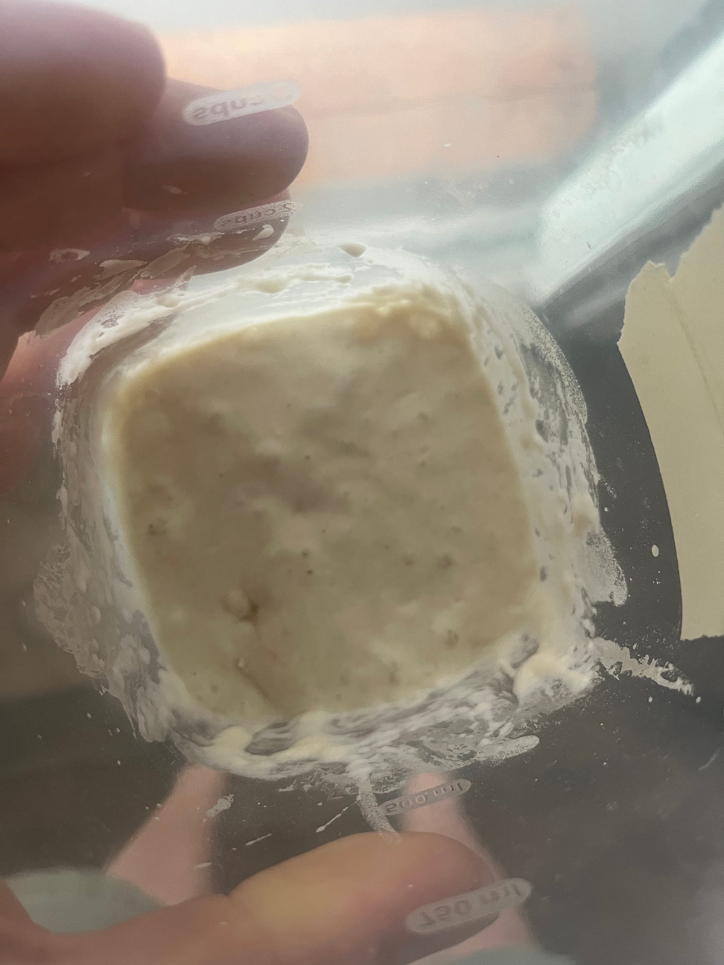 looking into a container of bubbly sourdough starter