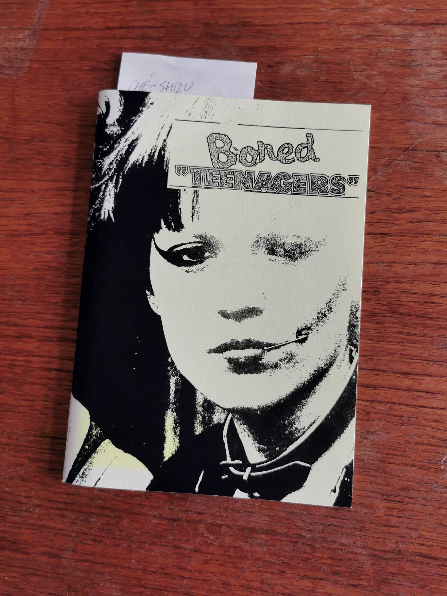 Cover of Bored Teenager zine from 2022