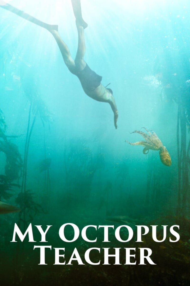 Sedeljka.com My Octopus Teacher 2020 / Filmovi sa prevodom