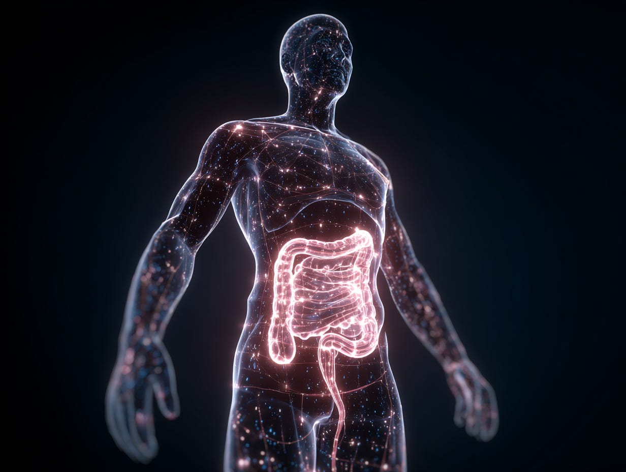 the digestive system in an outline of a toned body with energy running throughout