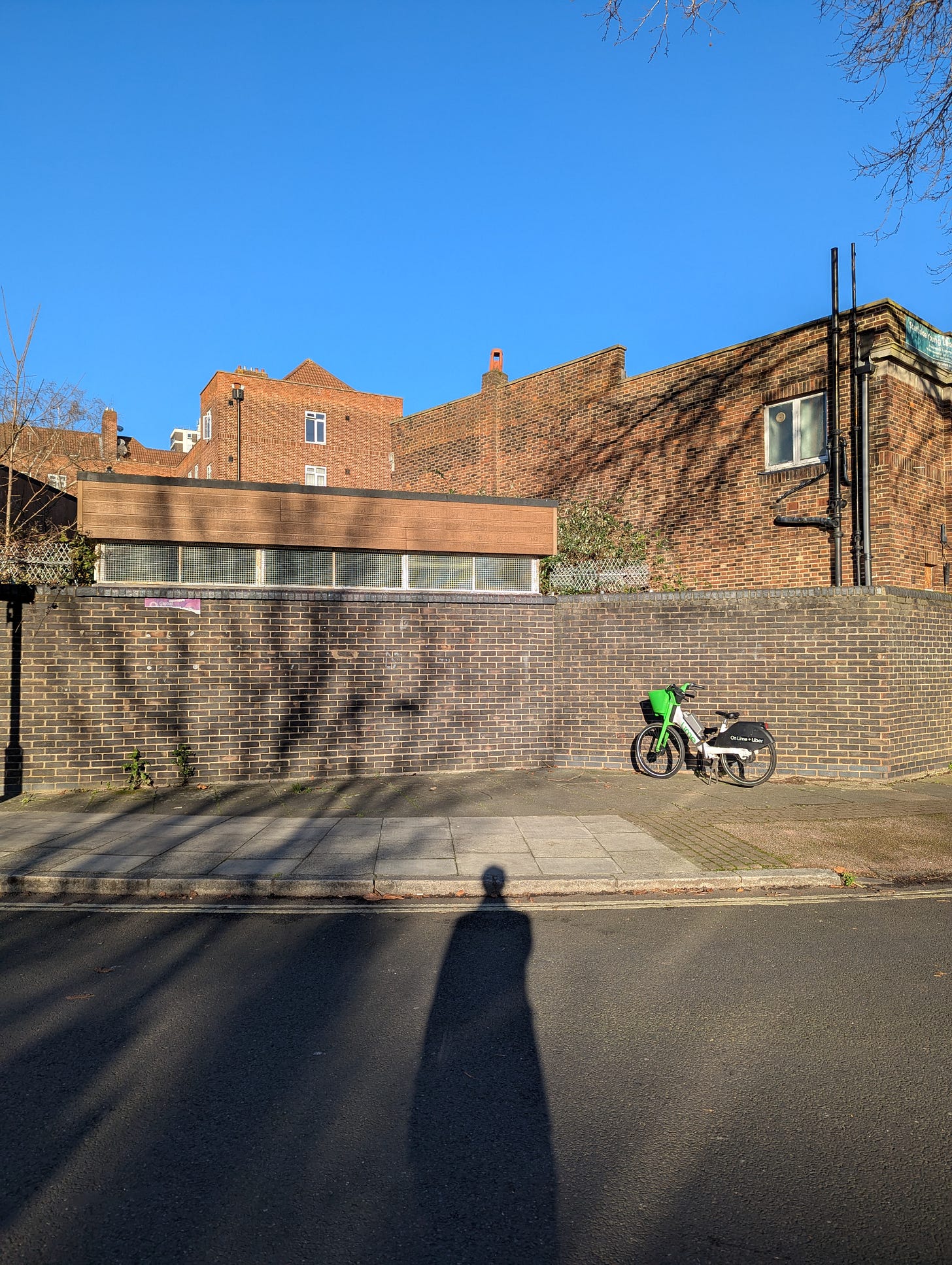 A brick wall with a house behind it, covered by the shadows of leaning trees. A lime green bike is against the wall on the right-hand side, and a shadow stares at it.