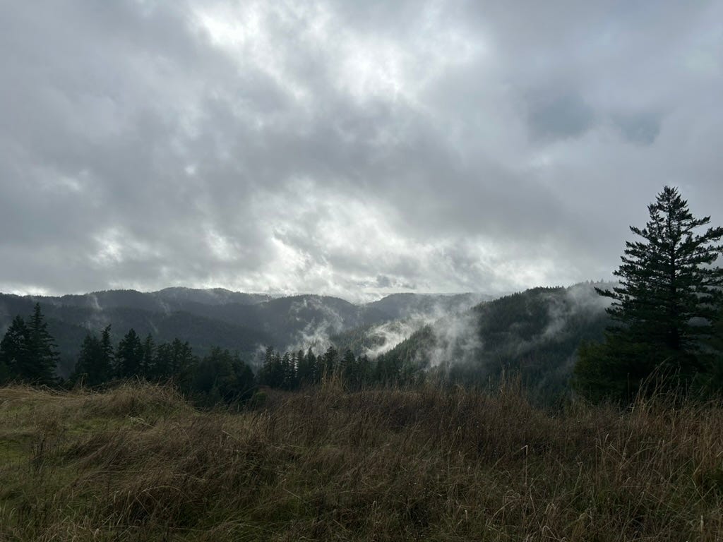 A landscape with trees and clouds

Description automatically generated