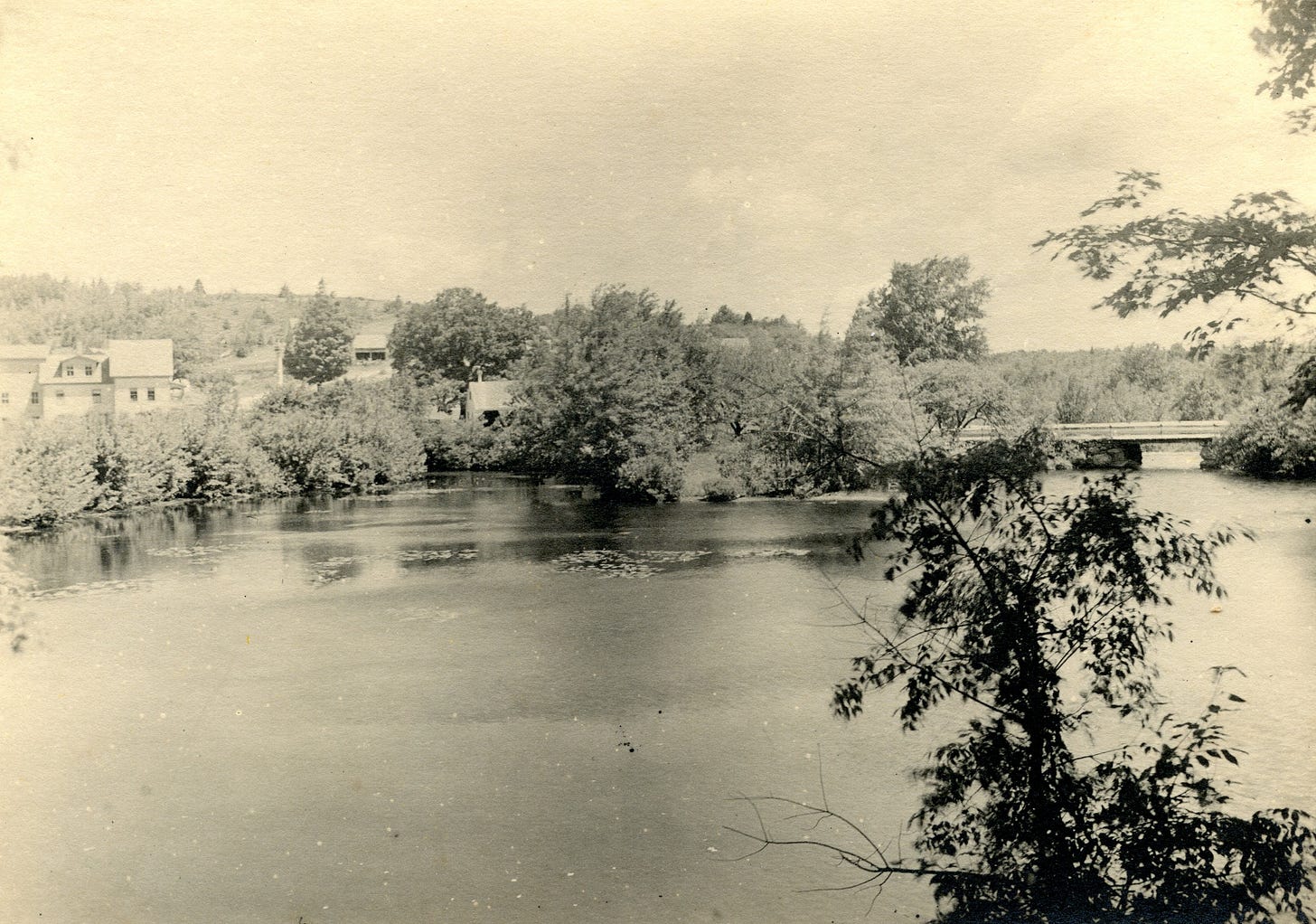 Bridge