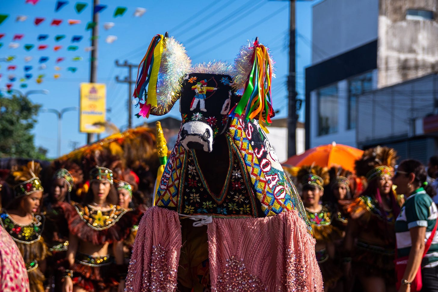 A festa do BOI: conheça a origem do Bumba Meu Boi - Aprende Brasil