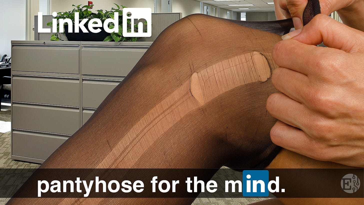 LinkedIn: Pantyhose for the Mind
