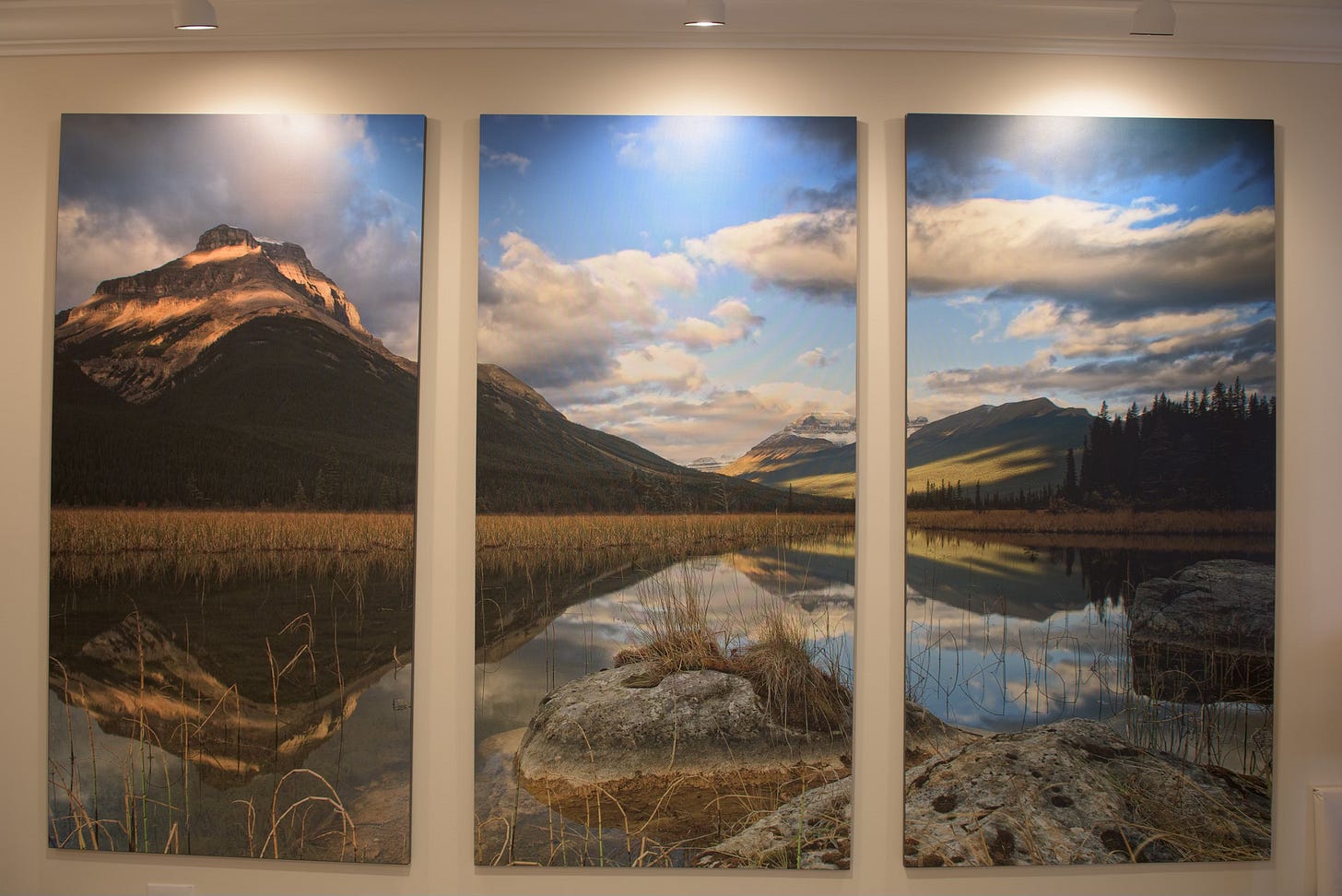 5ft x 9ft canvas print